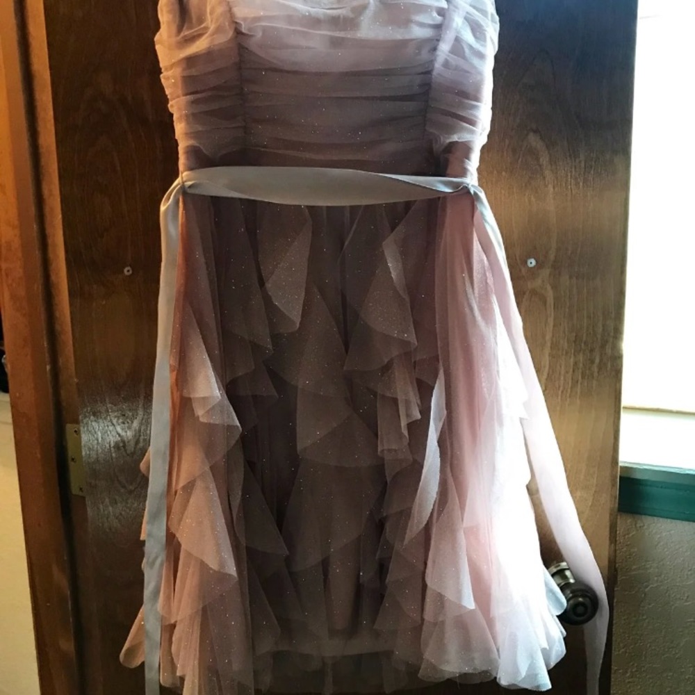 Pink sparkly dress.